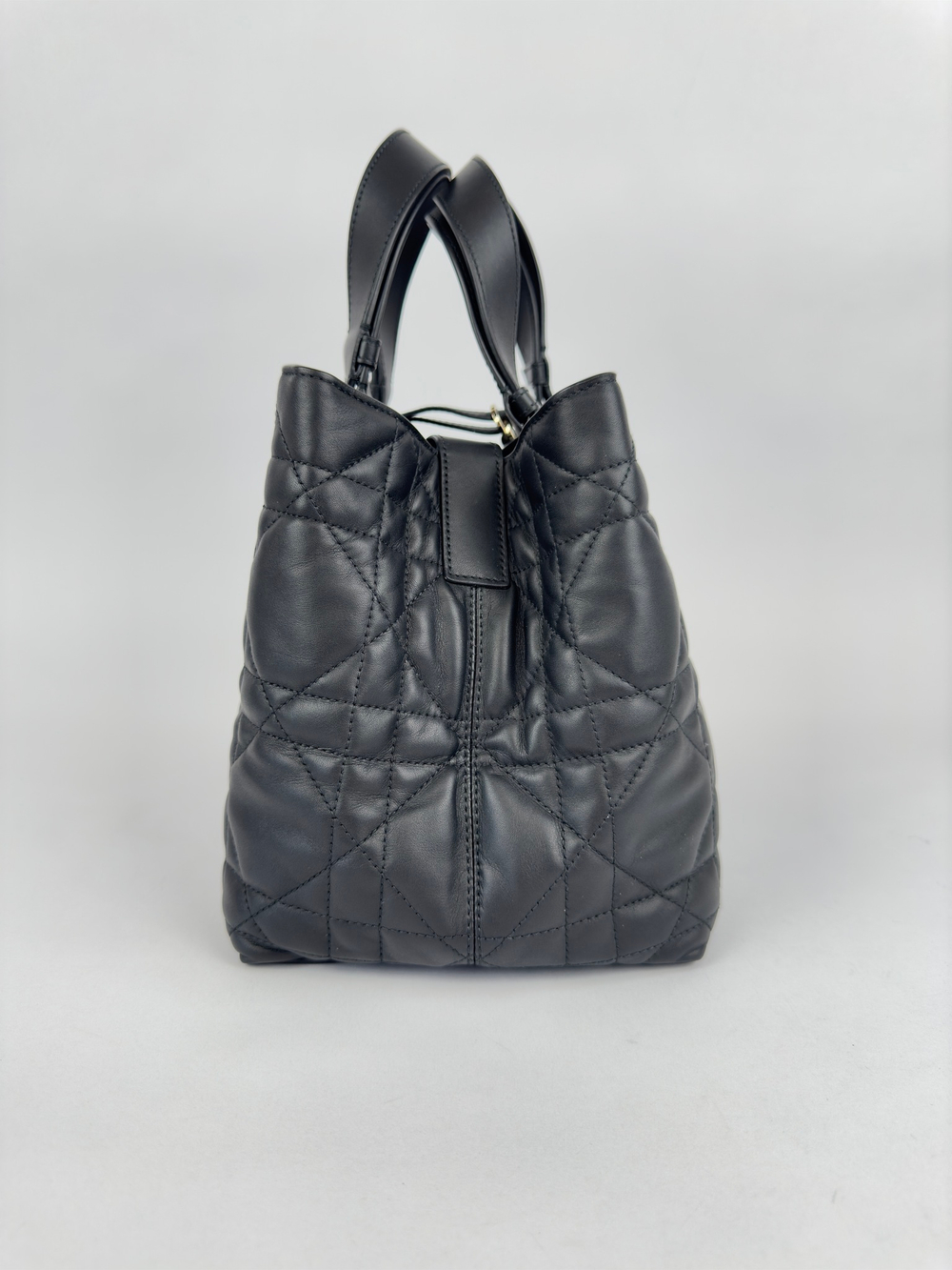 Сумка Christian Dior Toujours Bag