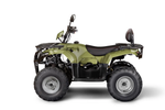 Квадроцикл IRBIS ATV 250 (Зеленый)