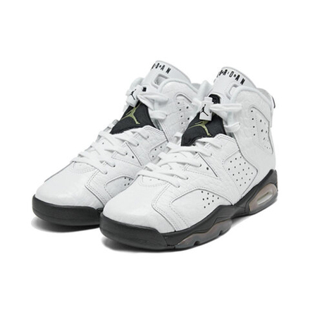 Кроссовки Air Jordan 6 Retro GS Alligator