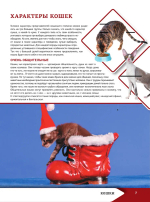 Большая энциклопедия о кошках и собаках