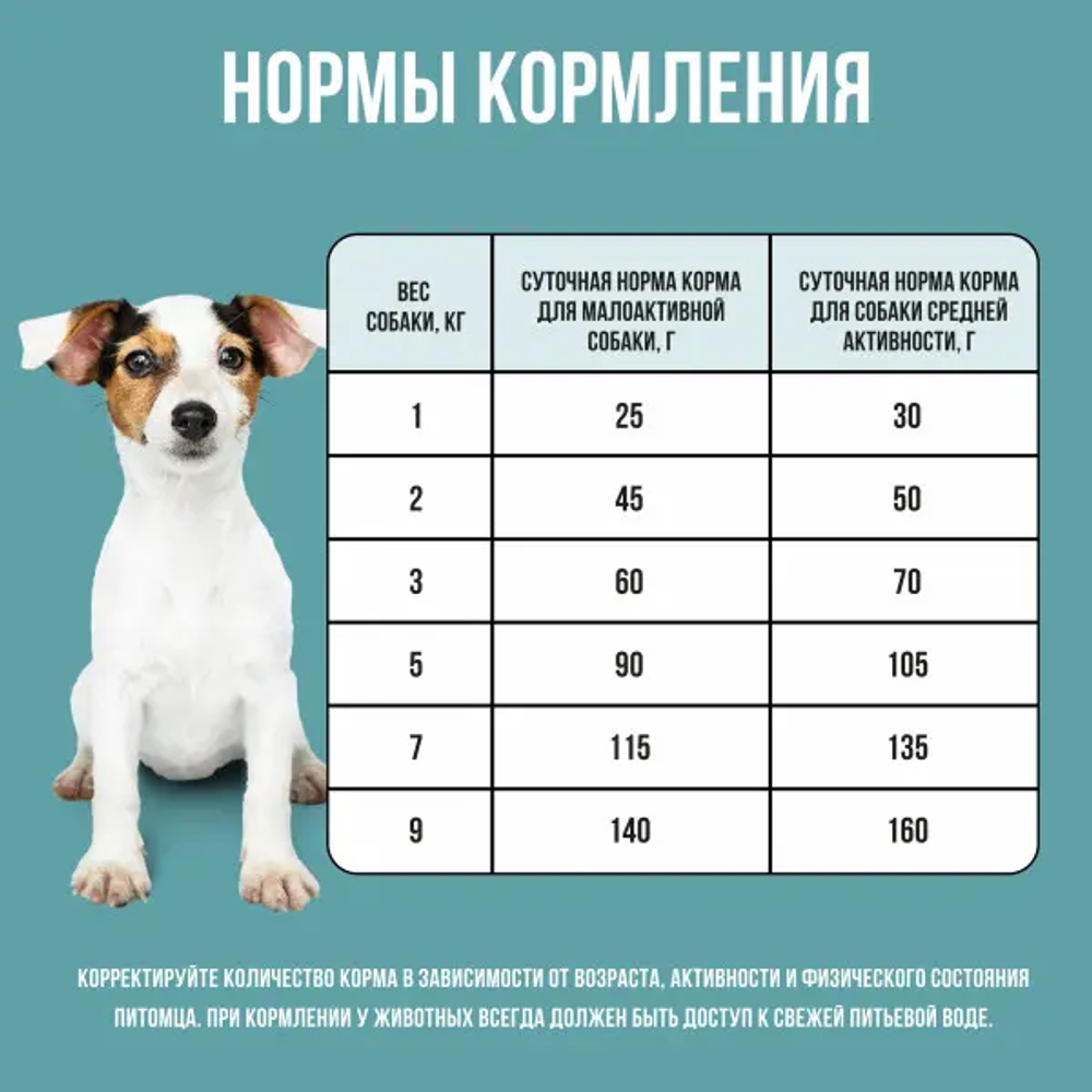 Bowl wow корм сухой для взрослых собак мелких пород: индейка, рис, розмарин