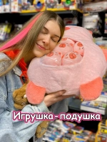 Мягкая игрушка подушка Pudding Пудинг Капибара 6 шт