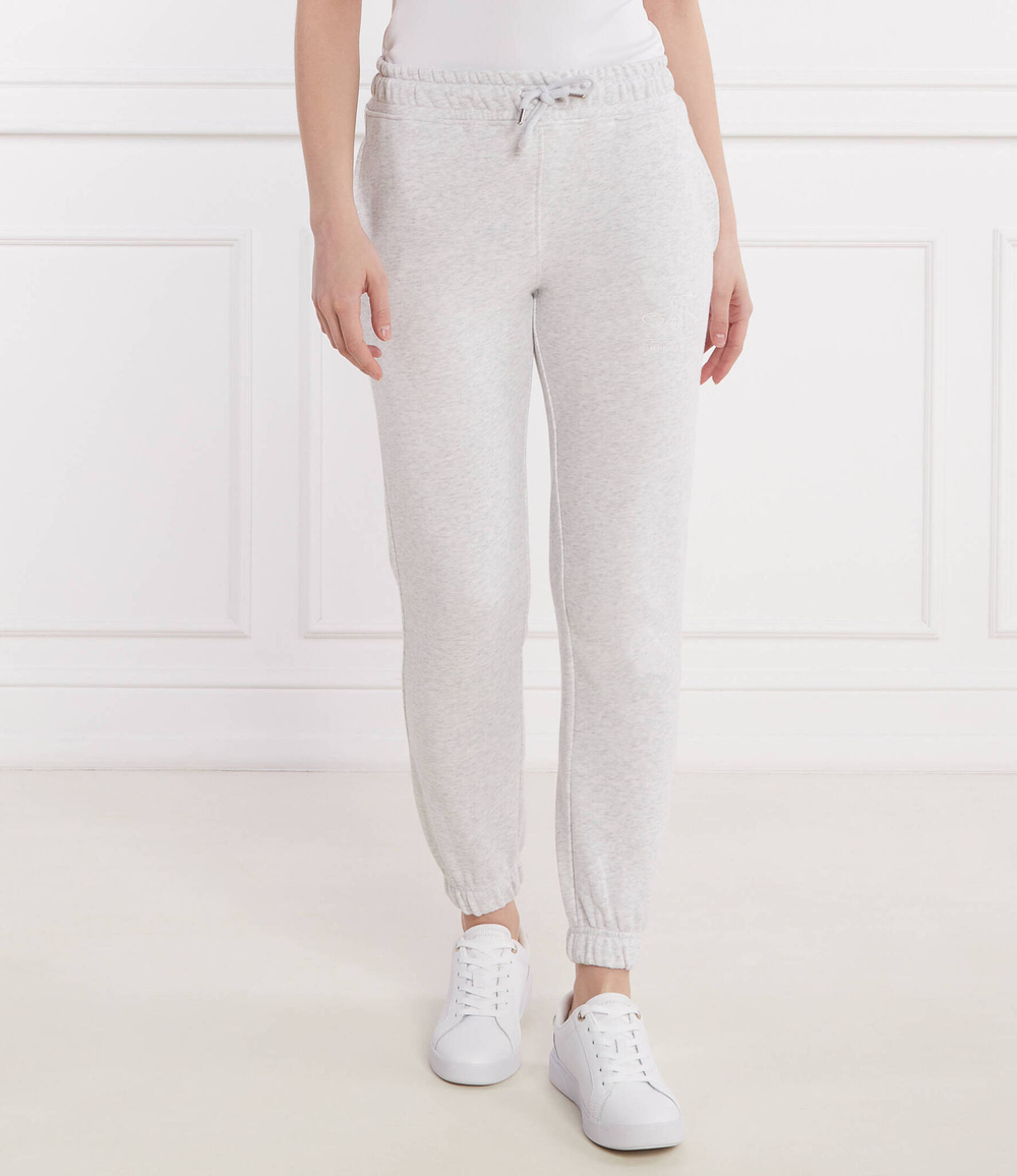 Спортивные штаны Gant - серый(4200709)