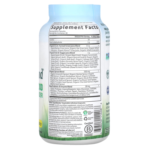 Garden of Life, RAW Perfect Food, Green Superfood, порошок сочной зелени, 240 веганских капсул