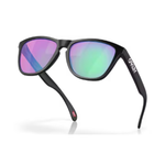 Oakley Frogskins Tinted Очки