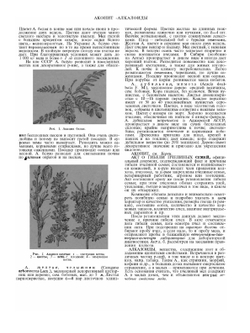 Словарь-справочник пчеловода | Н.Ф. Федосов