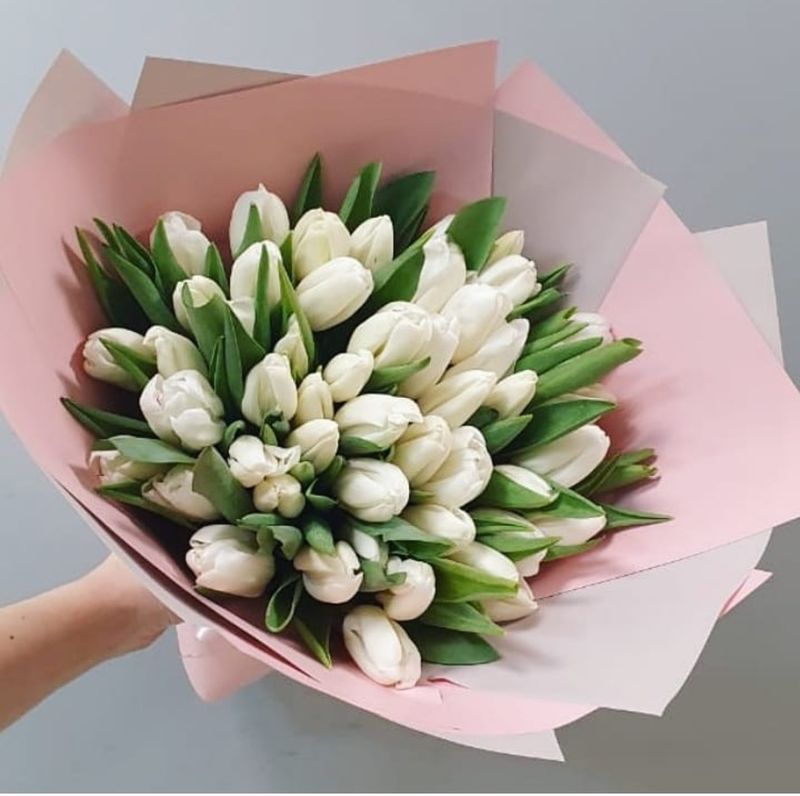Букет 51 тюльпан (Б-180)