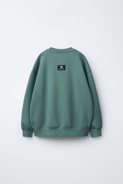 ZARA ТОЛСТОВКА С РЕЛЬЕФНОЙ НАДПИСЬЮ PAUL FRANK ®, ЗЕЛЕНЫЙ/СЕРЫЙ