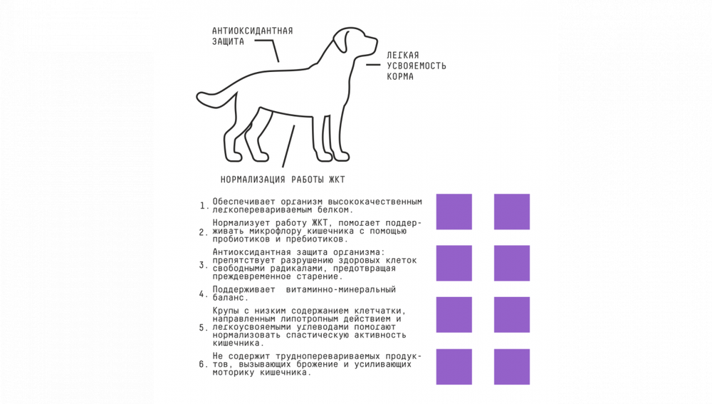 AjO Dog Sense Сухой полнорационный корм для взрослых собак с чувствительным пищеварением с индейкой, ягненком и гречкой, 2 кг