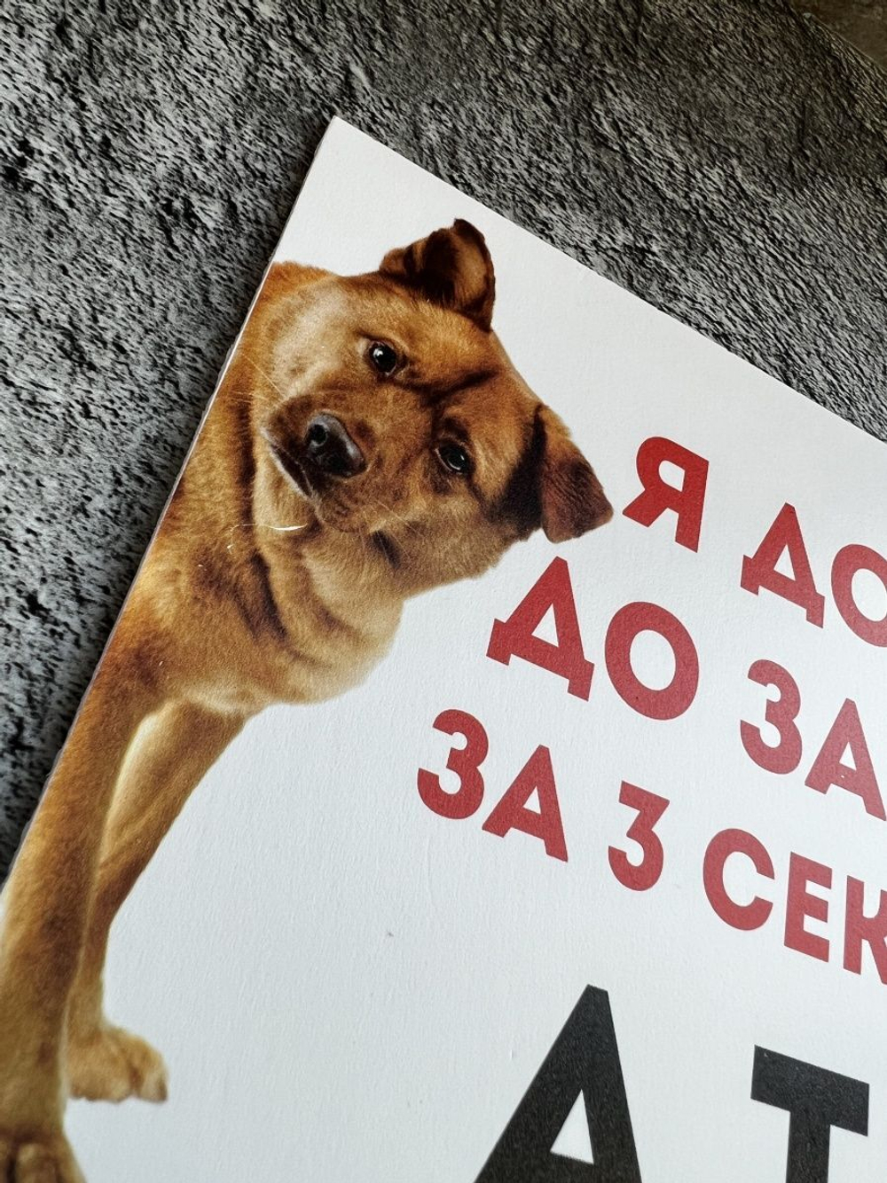 Табличка на дом Осторожно злая собака