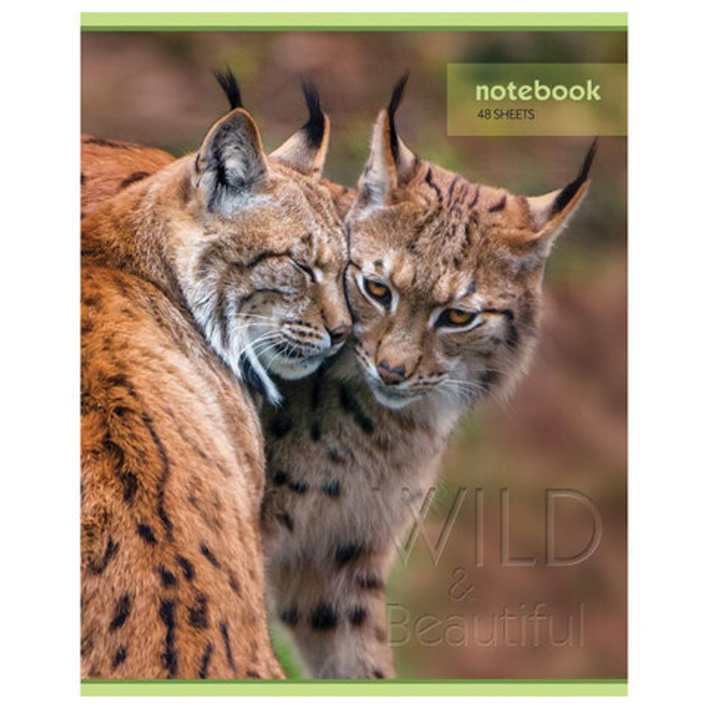 Тетрадь А5, 48 л., HATBER-ECO, скоба, офсет №2 ЭКОНОМ, клетка, обложка картон, "Авто", 48Т5D1