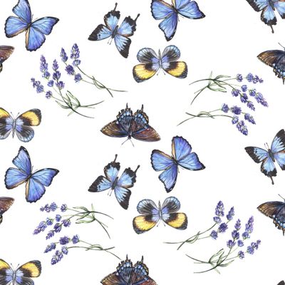 Бабочки и лаванда