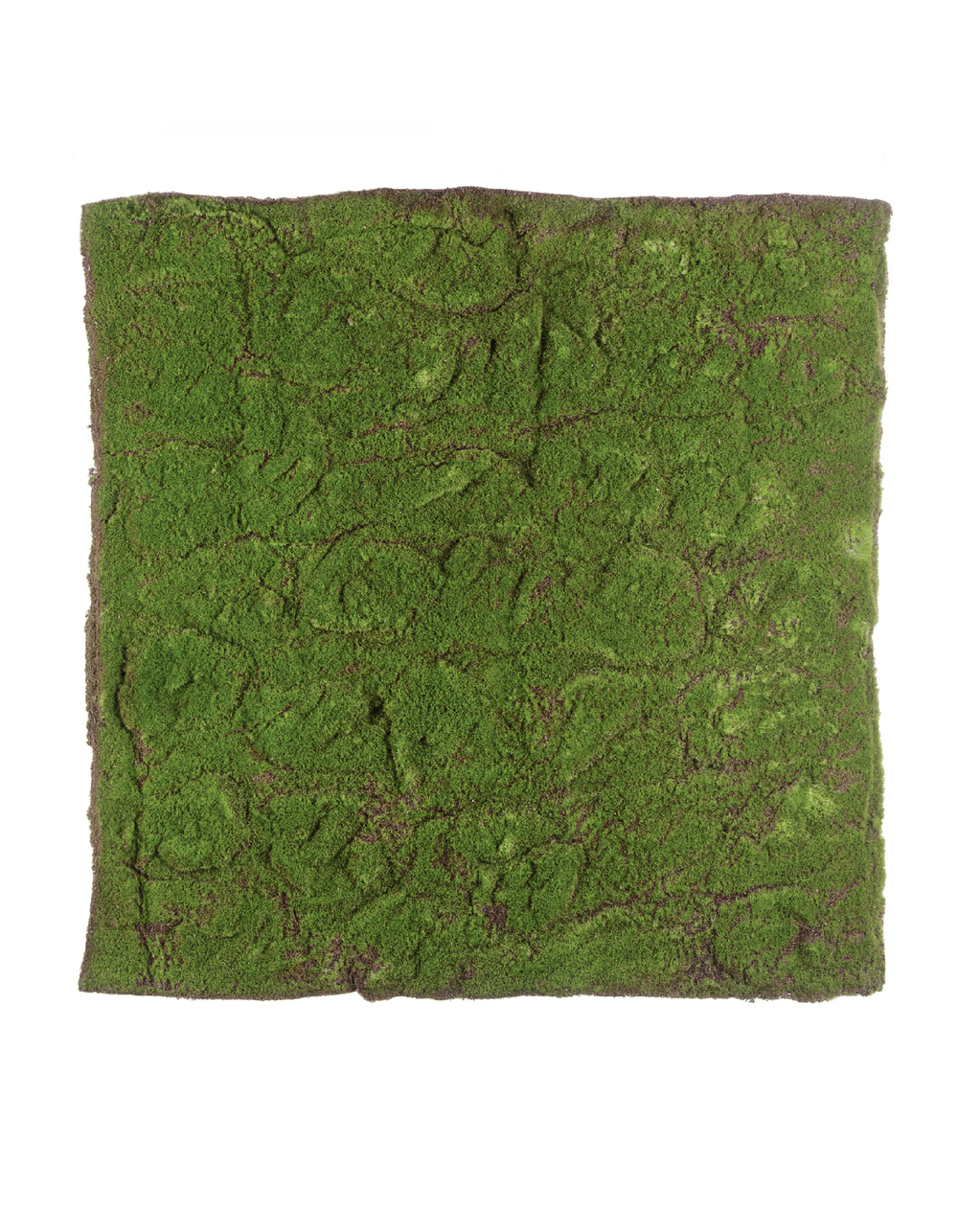 Мох полотно (30.0312011L) 100 х100 см 4/4 20.03180277L