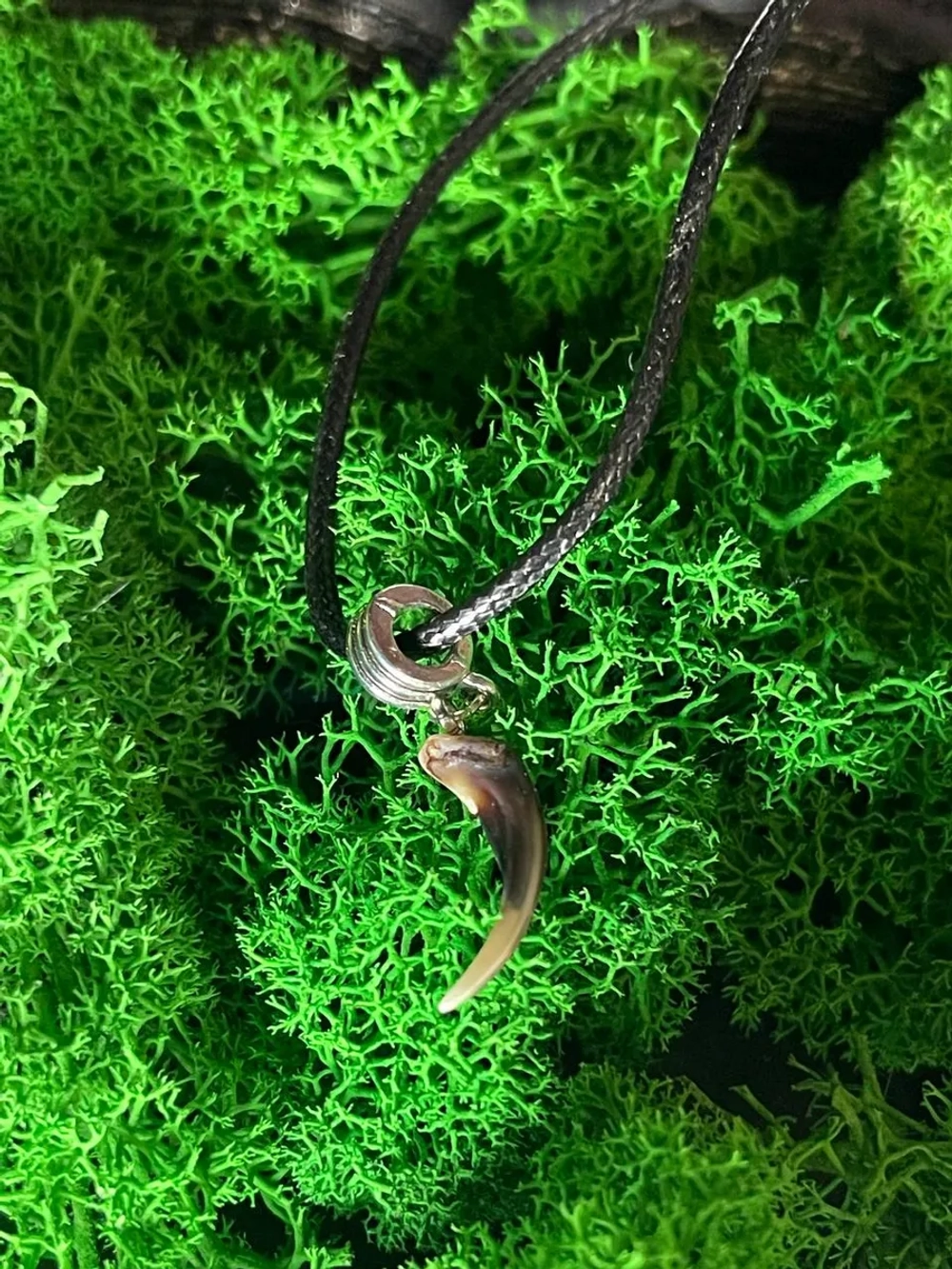 Амулет Коготь Лисы