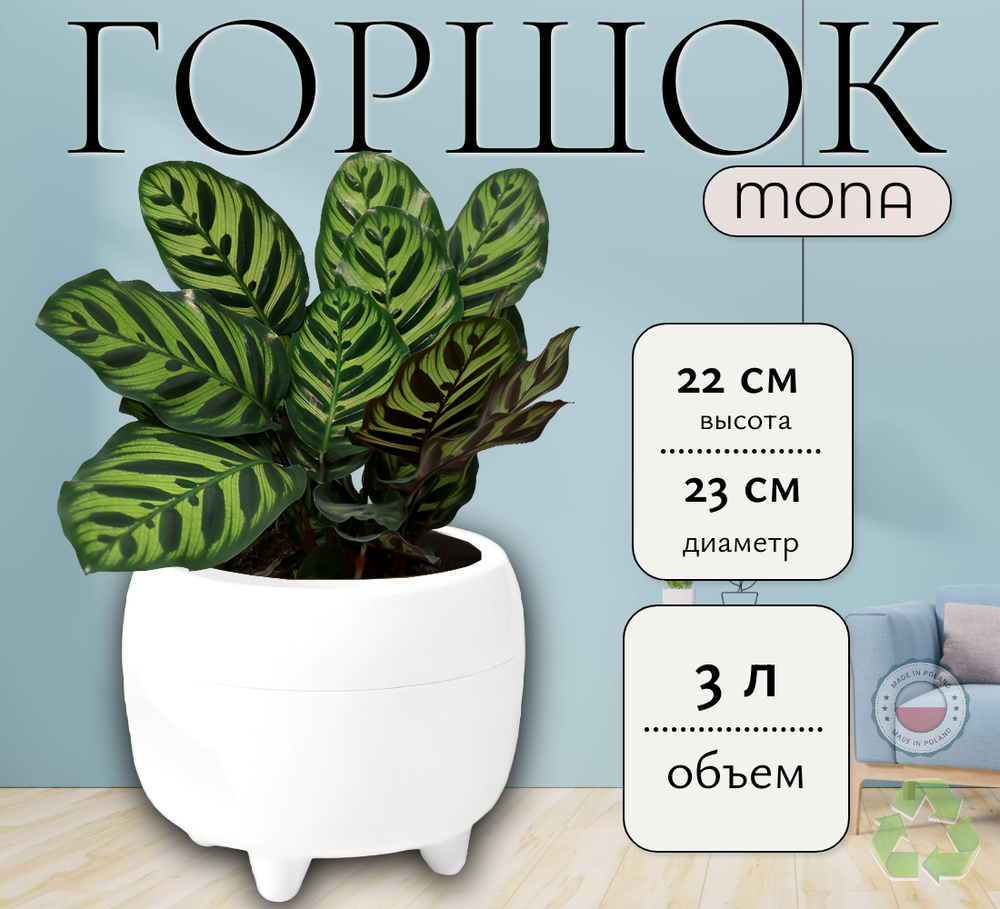 монабел