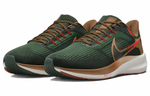 Кроссовки Nike Air Zoom Pegasus 39 "A.I.R. Hola Lou"