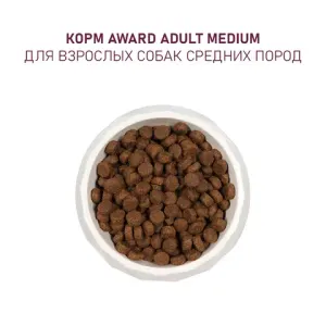 Сухой корм AWARD для взрослых собак средних пород с индейкой и курицей с добавлением моркови и черной смородины
