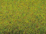 Травяное покрытие - летний луг, (200х100 см)