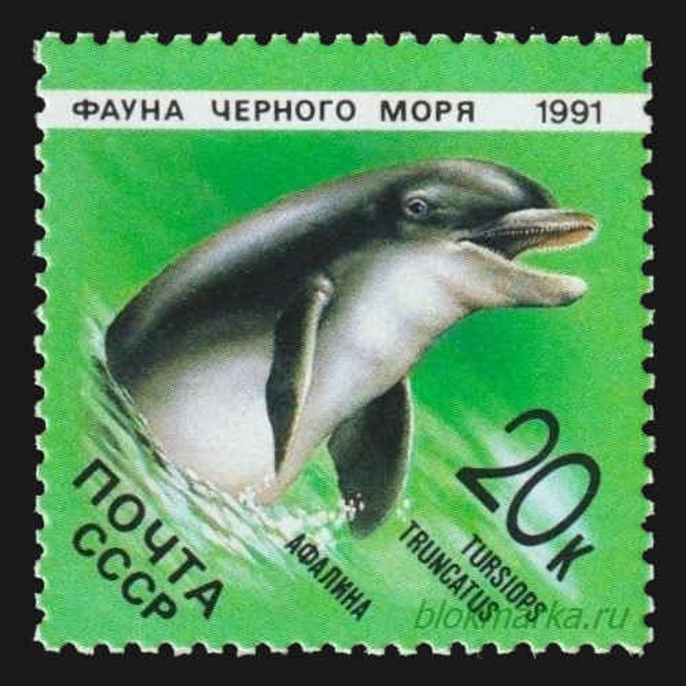 СССР 1991 г № 6279-6283 Серия Фауна Черного моря Чистая MNH **