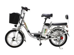 Электровелосипед Green Camel Транк-18 V2 (R18 250W)