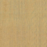 Arte Amazone 2 Fierce – 23506