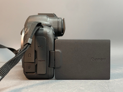 Canon EOS R6 Mark II 5.000 кадров