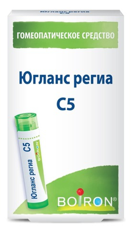 Югланс региа (Juglans regia) C5 Буарон