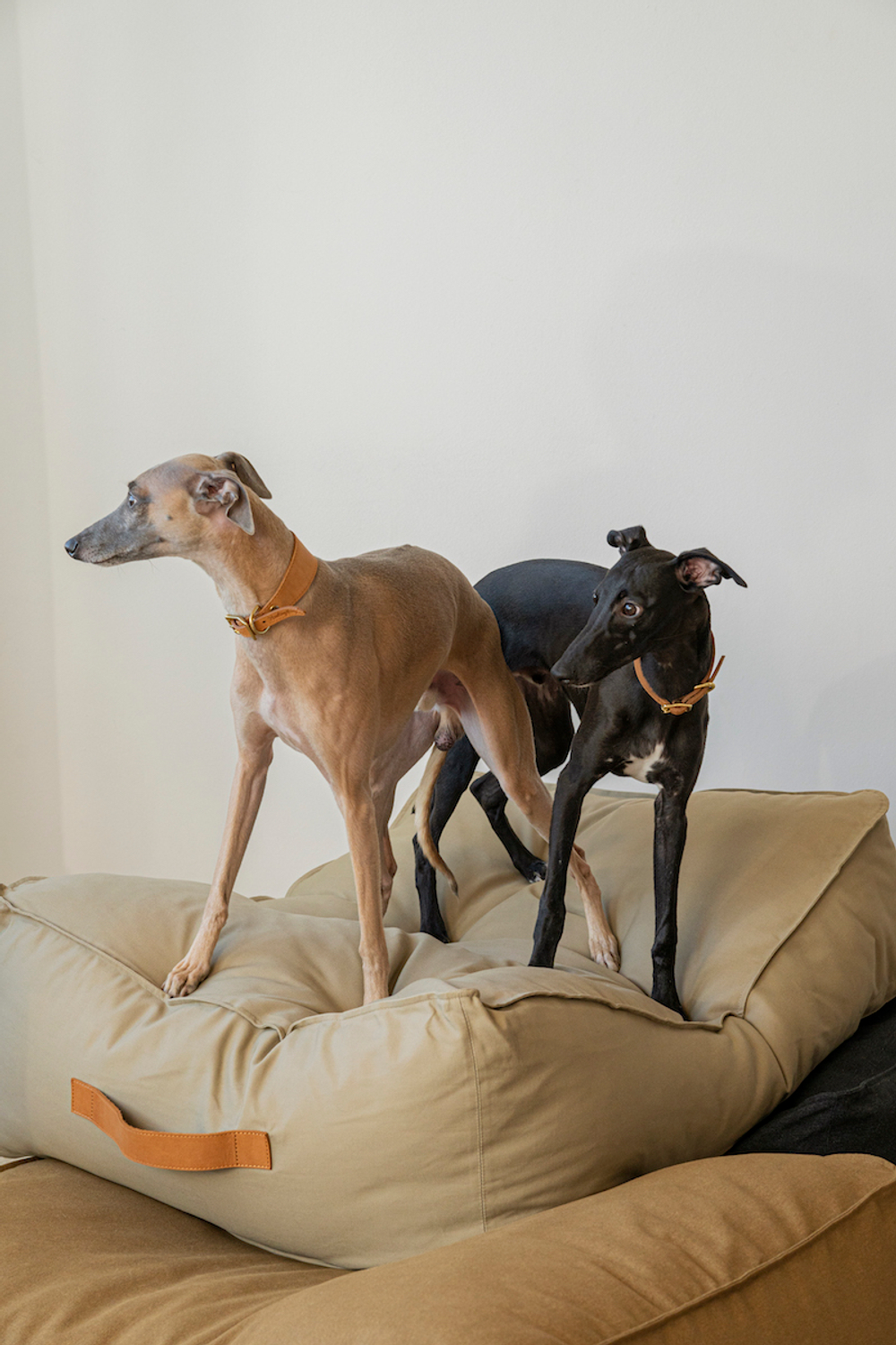 Лежанка "Пони-трамплини" Бежевая