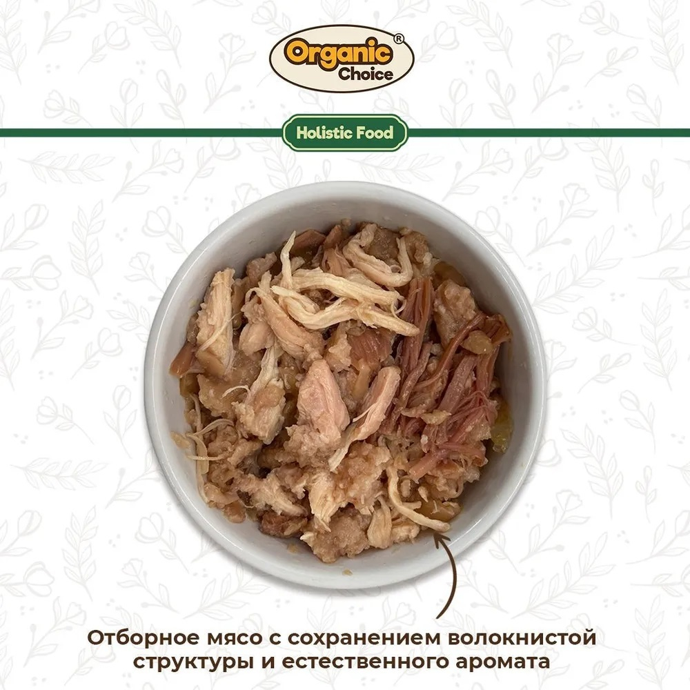 Organic Сhoice Holistic - консервы для щенков с индейкой