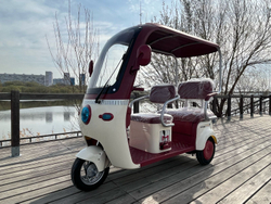 Электрический Трицикл, Трехколесный электроскутер Elektrix-2025
