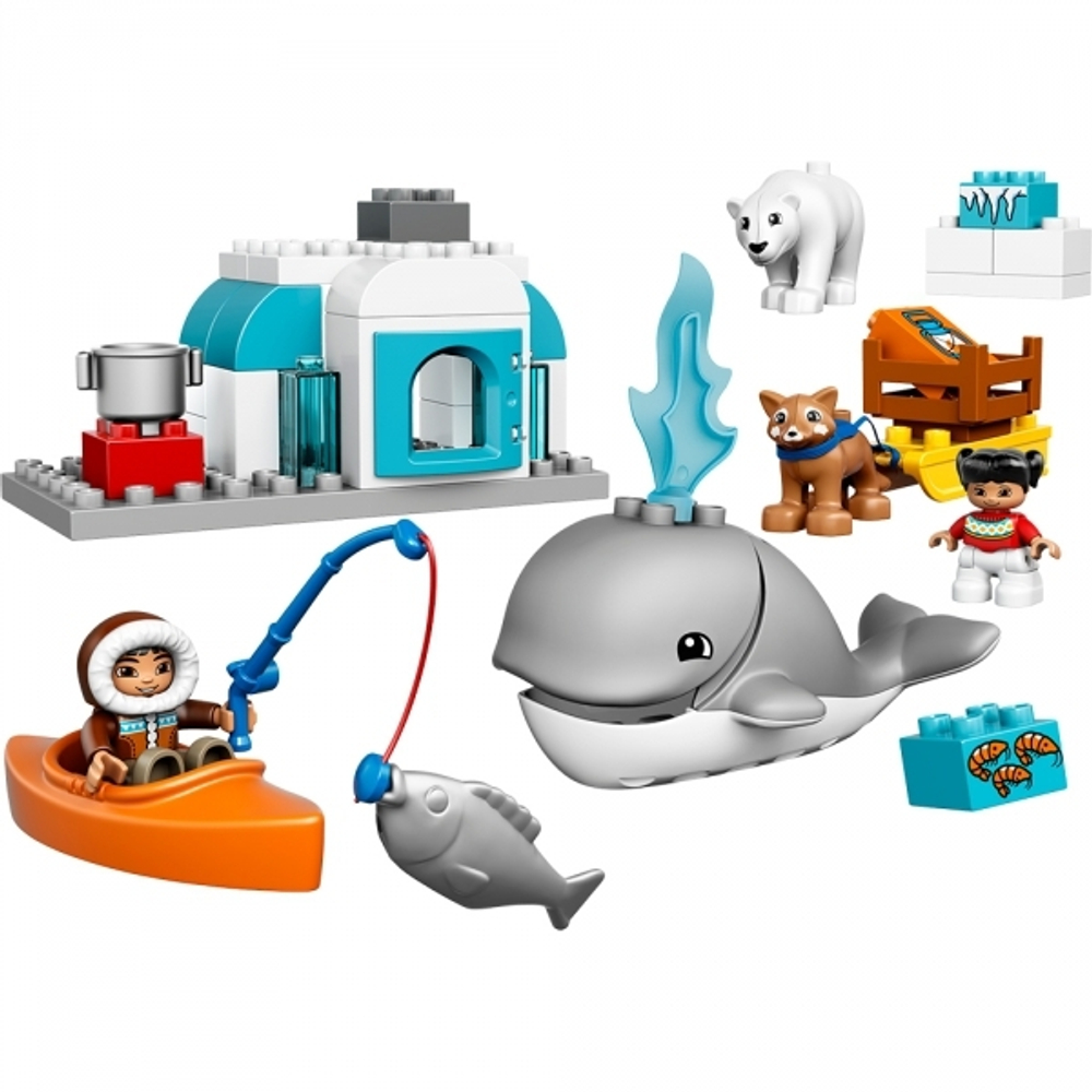 LEGO Duplo: Вокруг света: Арктика 10803 — Arctic Wildlife — Лего Дупло