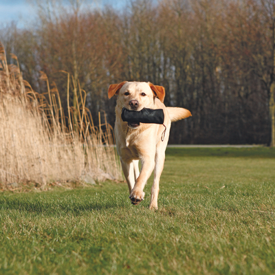 Игрушка для собак Trixie Training Dummy, размер 6×18см., черный