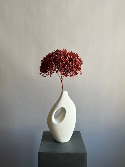 Гортензия стабилизированная красно-коричневая