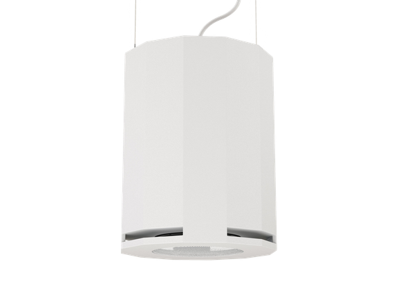 CVGAUDIO SUBone model DH-8W подвесной сабвуфер, мощность 150W/300W