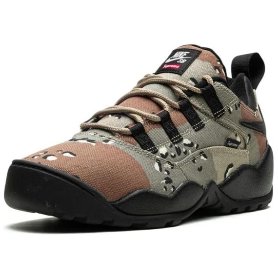 NIKE SB Darwin Повседневная обувь Низкий Топ Камуфляж Мужская