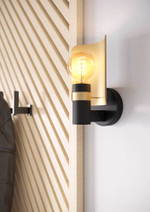 Настенный светильник Eglo HAYES 900375