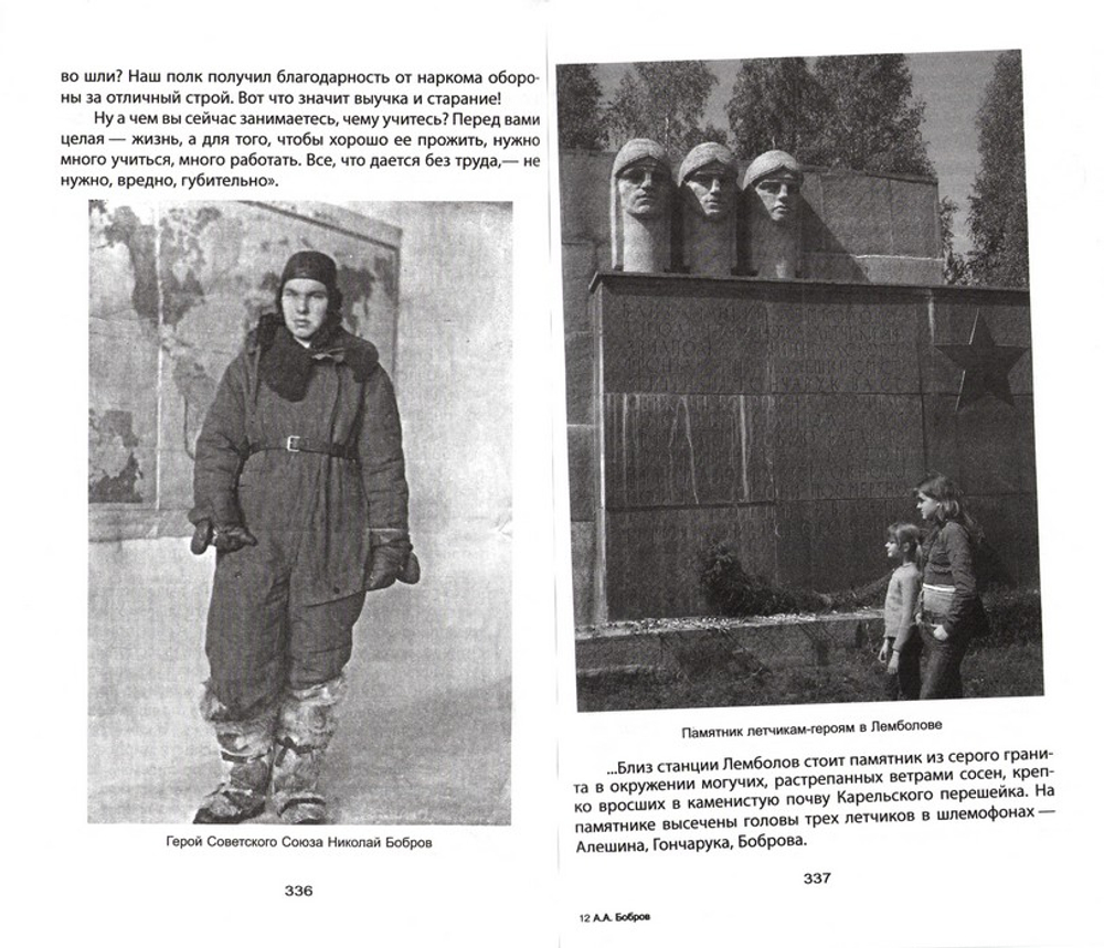 Поля и рубежи русской славы. Александр Бобров