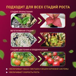 Светодиодная лента для растений ЭРА FITO-Strip Light-Rа90-3m полного спектра 3м IP65 с адаптером 12V | Светодиодные ленты для растений