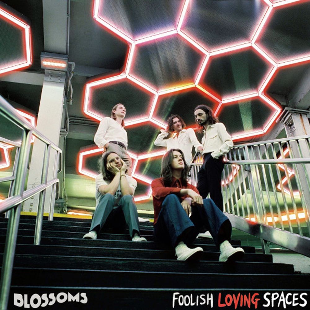 Blossoms / Foolish Loving Spaces (LP)