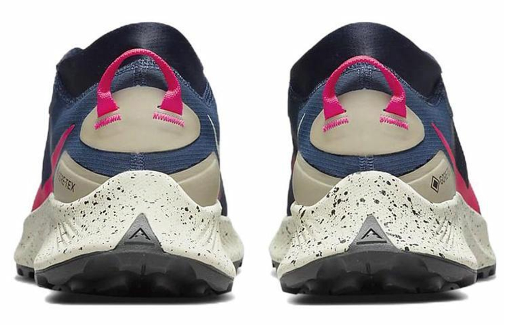 Кроссовки Nike Pegasus Trail 3 Gtx