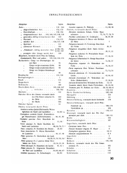 Пороки древесины. Альбом | В.В. Миллер; А.Т. Вакин