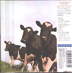 Pink Floyd / Atom Heart Mother (Mini LP CD)