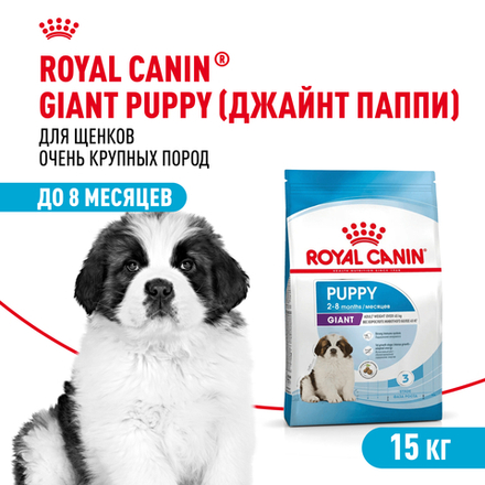 Корм сухой Royal Canin Giant Puppy для щенков очень крупных размеров до 8 месяцев 15кг