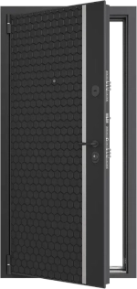 Входная дверь Alfa 2P 10.1
