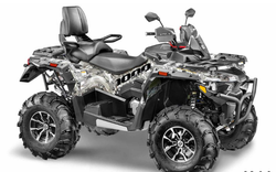 Квадроцикл STELS ATV010 (TE) ГЕПАРД 2.0 K01 EPS GN