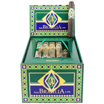 CAO Brazilia Piranha