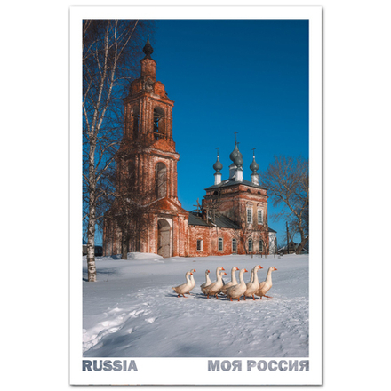 Гуси идут поздравлять с 8 марта. Село Красинское, Ивановская область