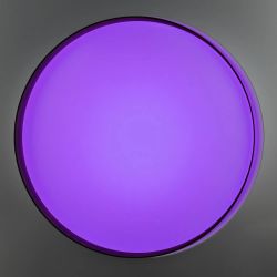 Citilux BONNY CL754450G LED RGB Светильник с пультом Белый + Венге