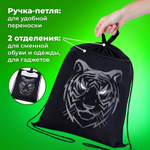 Мешок для обуви BRAUBERG с петлёй карман на молнии 47х37 см "Tiger" (3 штуки в упаковке)