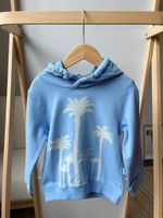 Толстовка Il Gufo